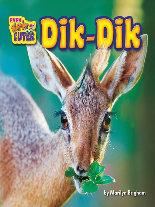 Title details for Dik-Dik by Marilyn Brigham - Available